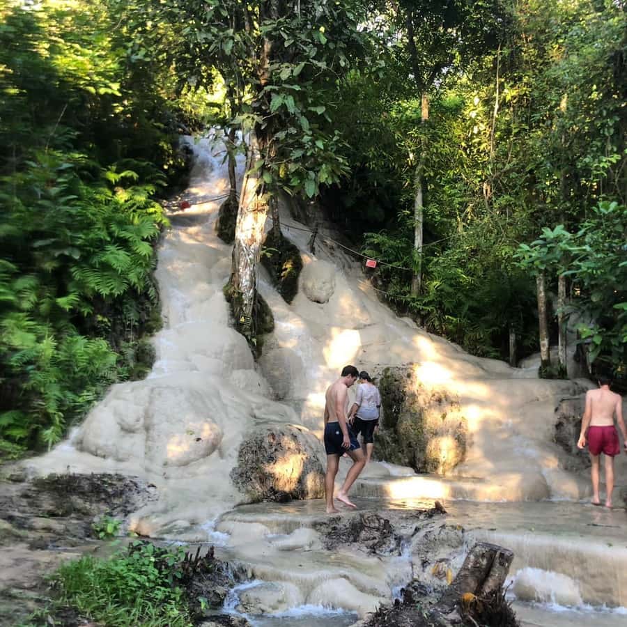 From Chiang Mai: Temples, Sticky Waterfall, and Orchid Farm - Key points to know before booking