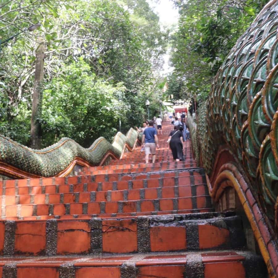 From Chiang Mai: Temples, Sticky Waterfall, and Orchid Farm - Should you book it?
