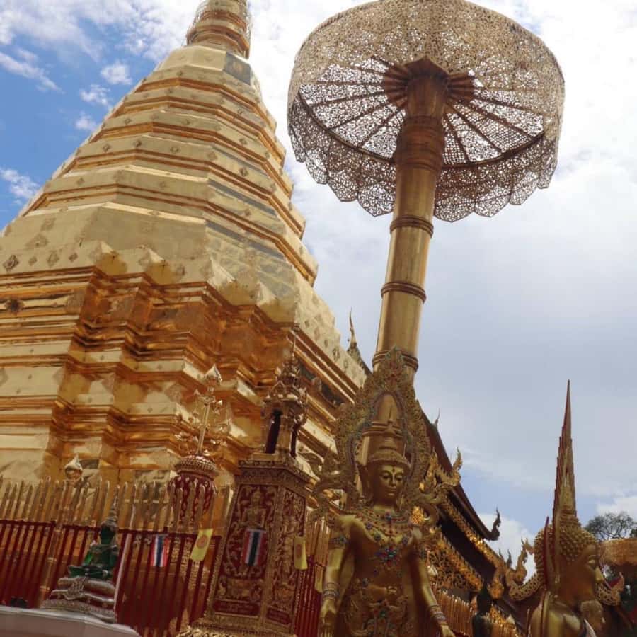 From Chiang Mai: Temples, Sticky Waterfall, and Orchid Farm - Is $80 a fair price?