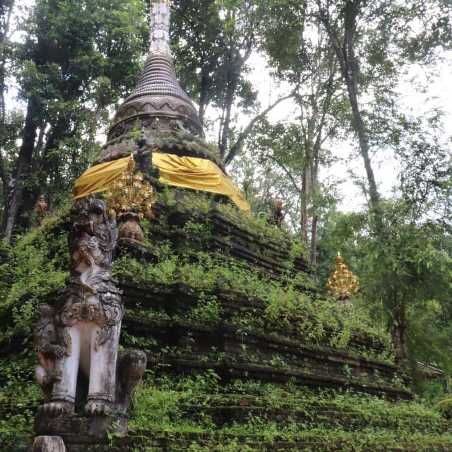 From Chiang Mai: Temples, Sticky Waterfall, and Orchid Farm - Who should book this tour?