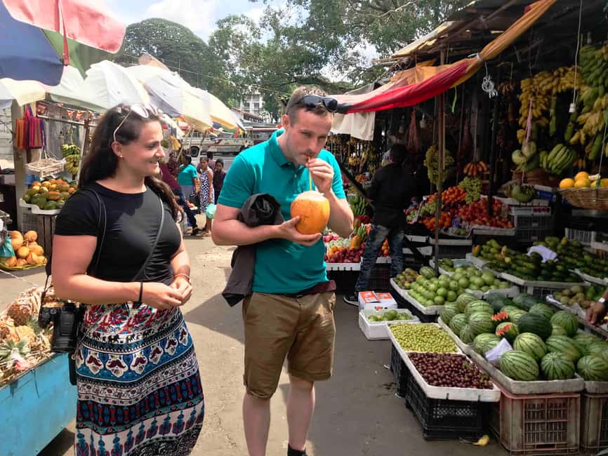 From Colombo: Kandy Temple of Tooth & Elephant Orphanage - Pinnawala and the elephant encounter