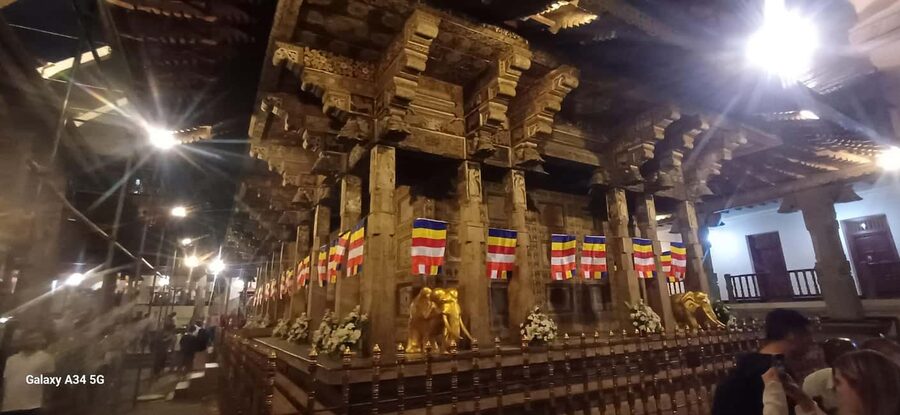 From Colombo: Kandy Temple of Tooth & Elephant Orphanage - Who should book this Kandy day trip?