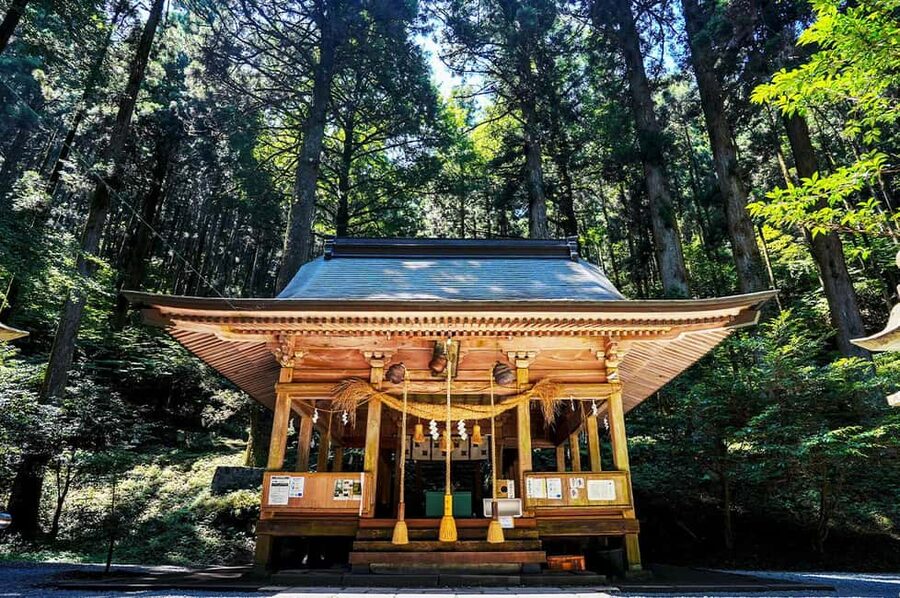 From Fukuoka: Miyazaki, Takachiho Gorge and Shrines Day Tour - Why this $50 Kyushu day trip works