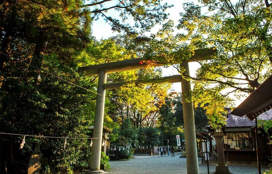From Fukuoka: Miyazaki, Takachiho Gorge and Shrines Day Tour - Takachiho Gorge, Manai Waterfall, and the Three Bridges