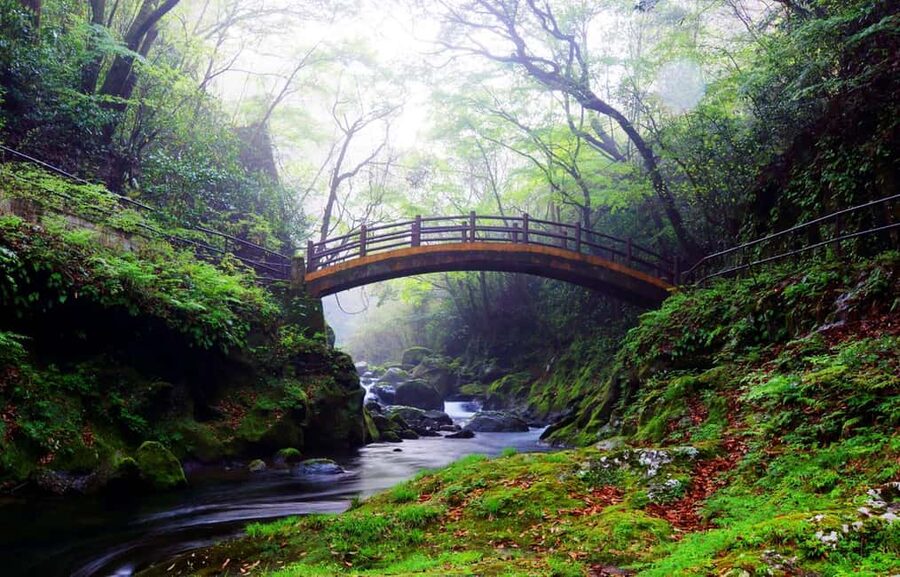 From Fukuoka: Miyazaki, Takachiho Gorge and Shrines Day Tour - Kamishikimi Kumanoimasu Shrine and its lantern path