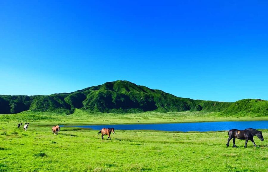 From Fukuoka: Mount Aso, Kurokawa Onsen, and Shrine Tour - Kurokawa Onsen gives the afternoon a gentler finish