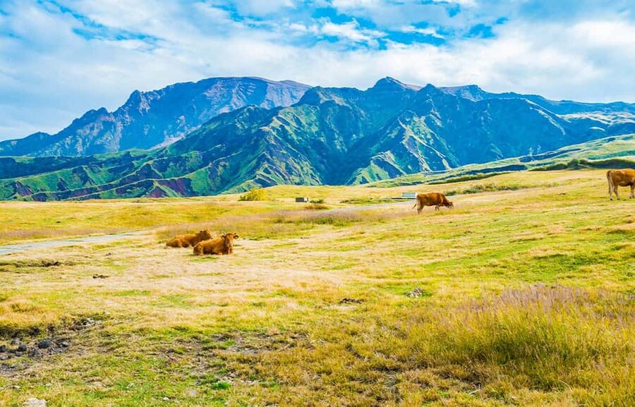 From Fukuoka: Mount Aso, Kurokawa Onsen, and Shrine Tour - Who should choose this Aso and Kurokawa tour?