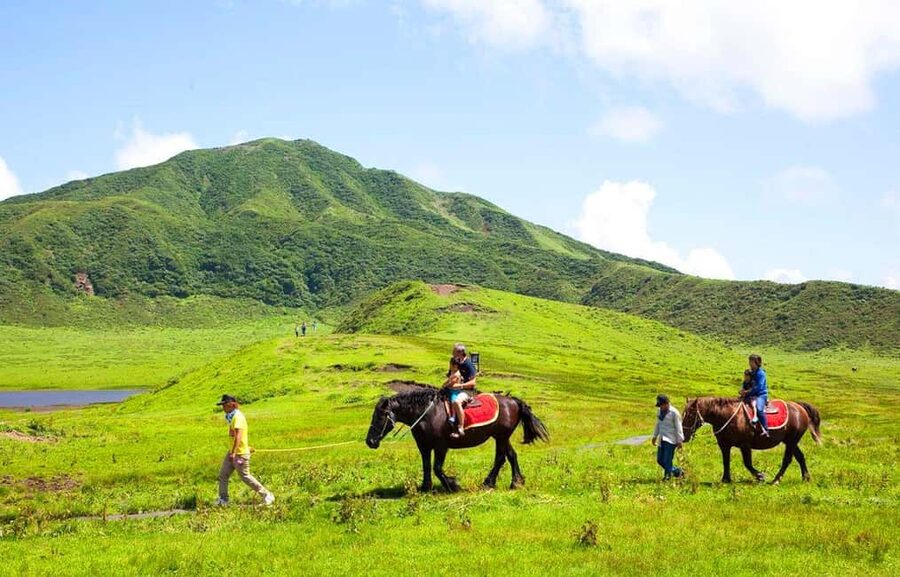 From Fukuoka: Mount Aso, Kurokawa Onsen, and Shrine Tour - FAQ