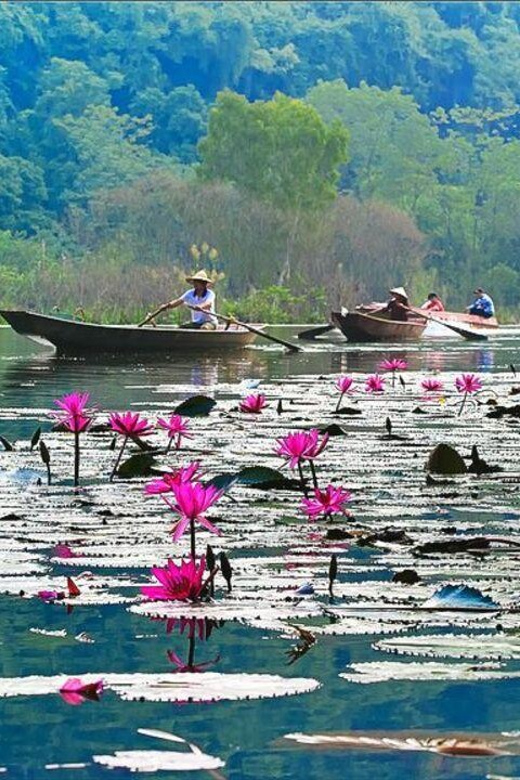 From Ha Noi: Perfume Pagoda – A Pagoda In Deep In A Cave - Key points to know before booking