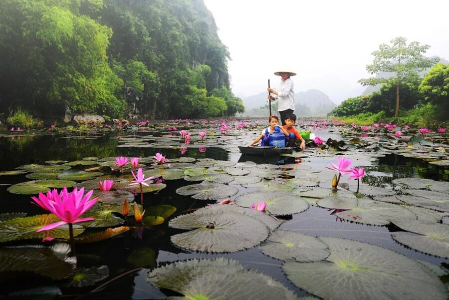 From Ha Noi: Perfume Pagoda – A Pagoda In Deep In A Cave - Who should book this day trip