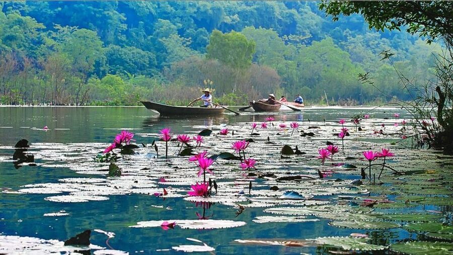 From Ha Noi: Perfume Pagoda – A Pagoda In Deep In A Cave - The Yen Stream boat ride through rice fields