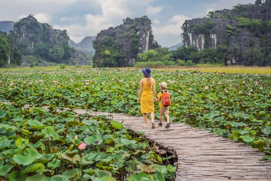 From Hanoi: Trang An Eco-tourism & Bai Dinh pagoda full day - Climbing Mua Cave and Ngoa Long Mountain