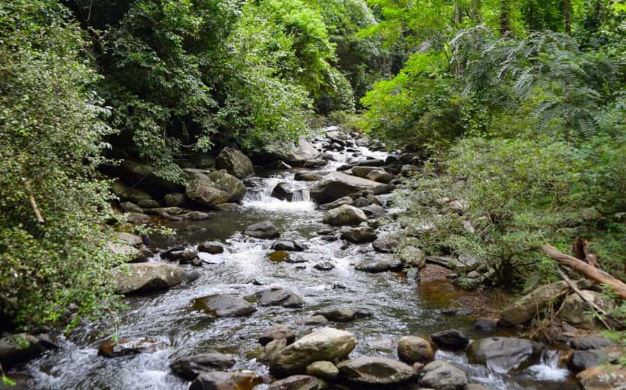 From Hua Hin: Pala U Waterfall and Huay Mongkol Temple Tour - Why Pala U Waterfall is worth the rough trail