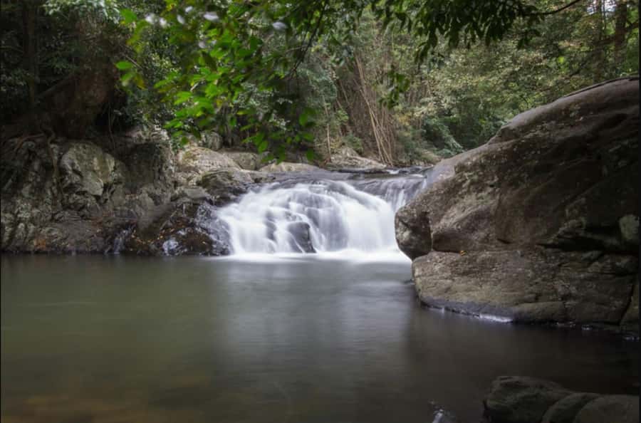 From Hua Hin: Pala U Waterfall and Huay Mongkol Temple Tour - Swimming at the third cascade