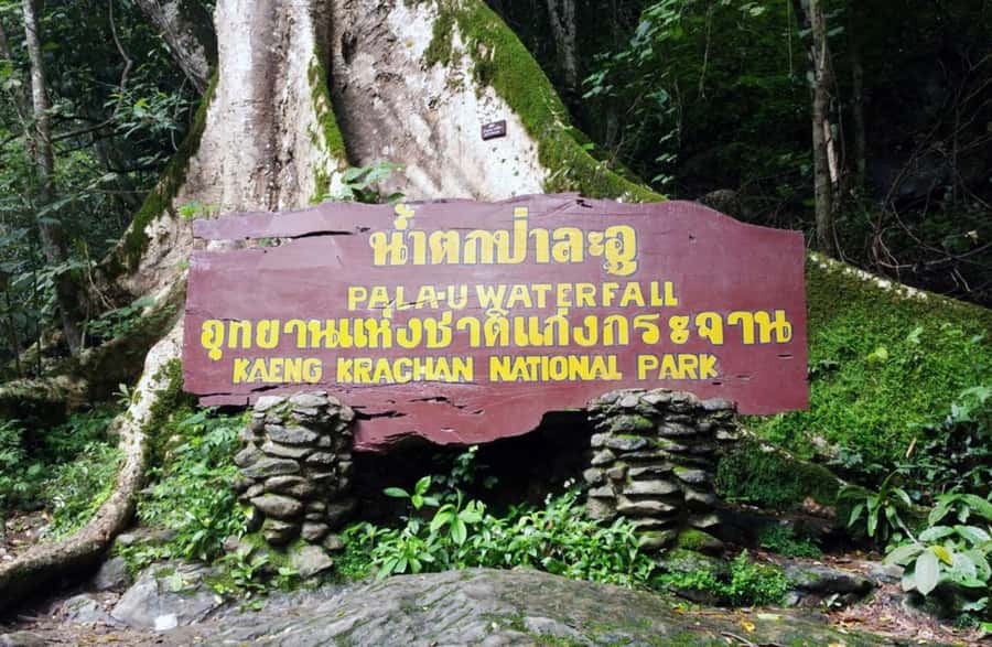 From Hua Hin: Pala U Waterfall and Huay Mongkol Temple Tour - Lunch and what the $83 price covers
