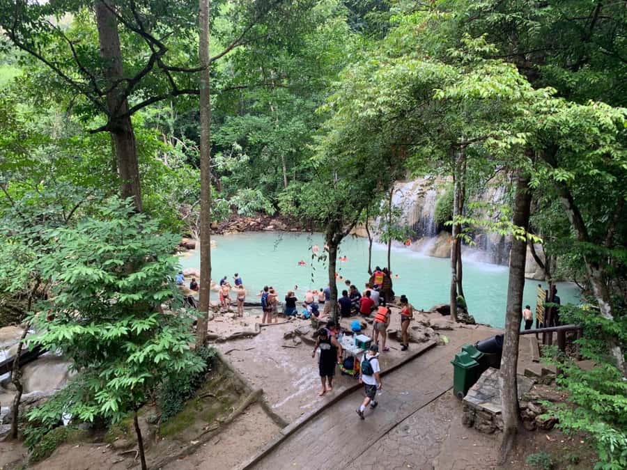 From Hua Hin: Pala U Waterfall and Huay Mongkol Temple Tour - The 45-minute walk through old forest