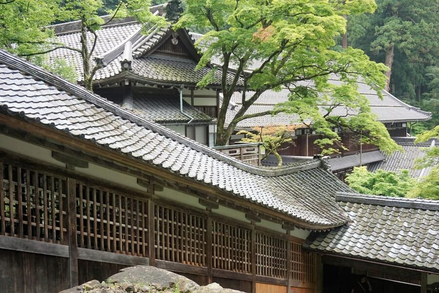 From Kanazawa: Eiheiji Buddhist Temple & Fukui Castle Town - Why this Fukui day trip is worth your time