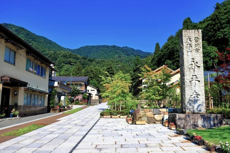 From Kanazawa: Eiheiji Buddhist Temple & Fukui Castle Town - Dinosaur Square gives Fukui a playful welcome