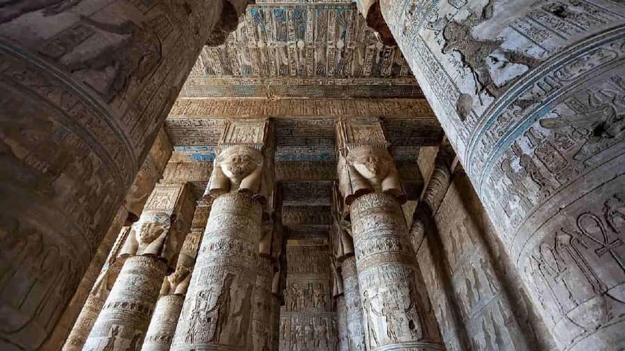 From Luxor: Abydos & Dendera Temples on a Private Day Tour. - The best way to use your two temple hours