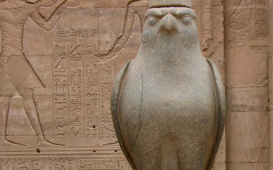 From Luxor: Private Edfu and Kom Ombo Temples Tour & Lunch - Key points to know before booking