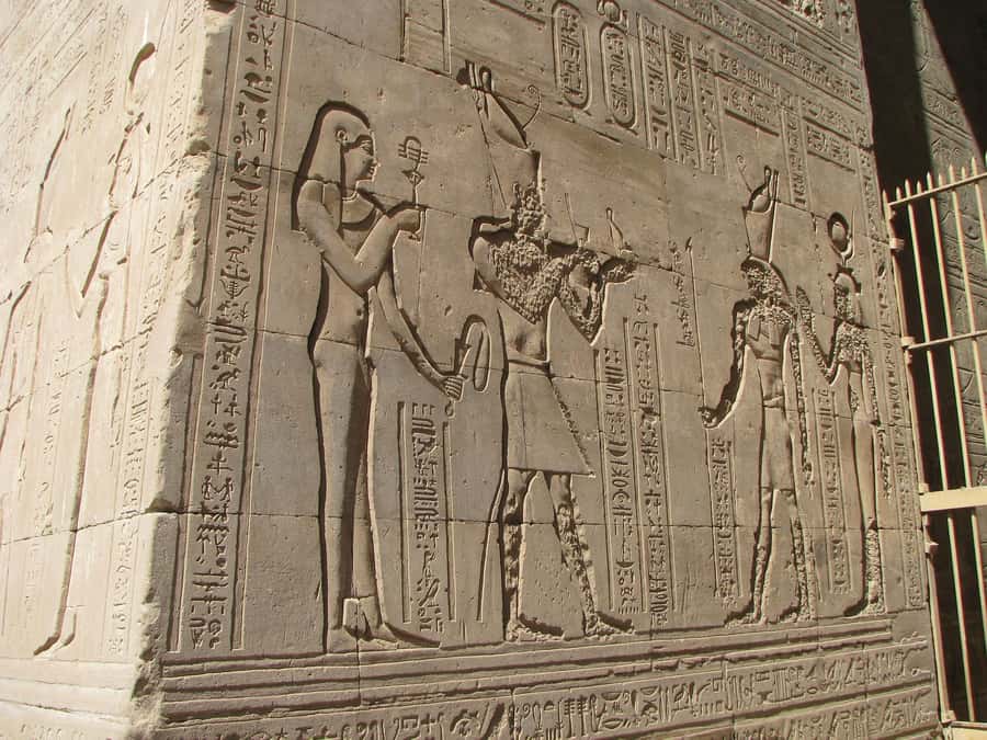 From Luxor: Private Edfu and Kom Ombo Temples Tour & Lunch - The private vehicle and guide