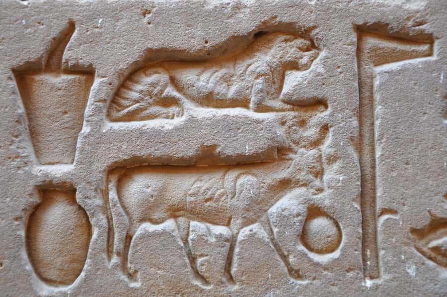 From Luxor: Private Edfu and Kom Ombo Temples Tour & Lunch - Is $148 per person fair value?