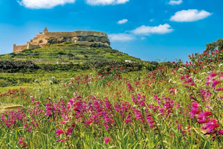 From Malta: Gozo Day Trip Including Ggantija Temples - Dwejra and the Inland Sea tunnel