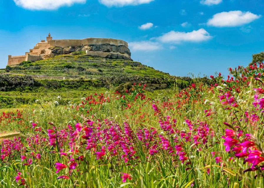 From Malta: Gozo Full-Day Tour with Guide, Temples, & Train - Ggantija Temples and the Neolithic past