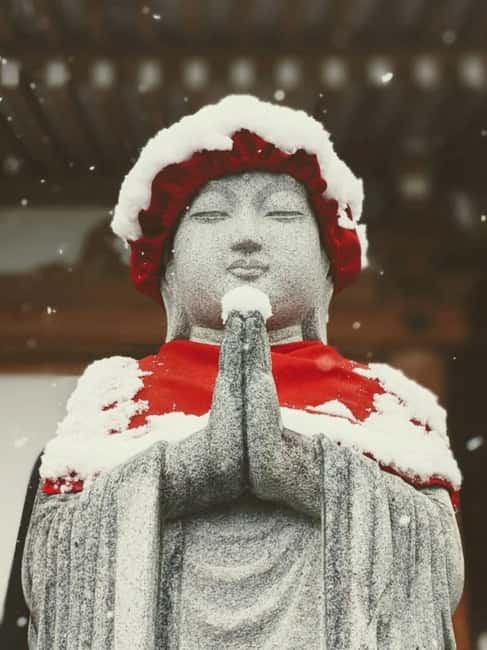 From Myoko Kogen: Snow Monkey Park and Zenkoji Temple Tour - Why this Myoko Kogen day trip works