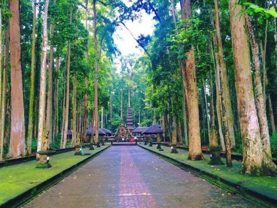From north bali :Tanah Lot, sangeh forest & Ulun Danu Temple - Key points to know before booking