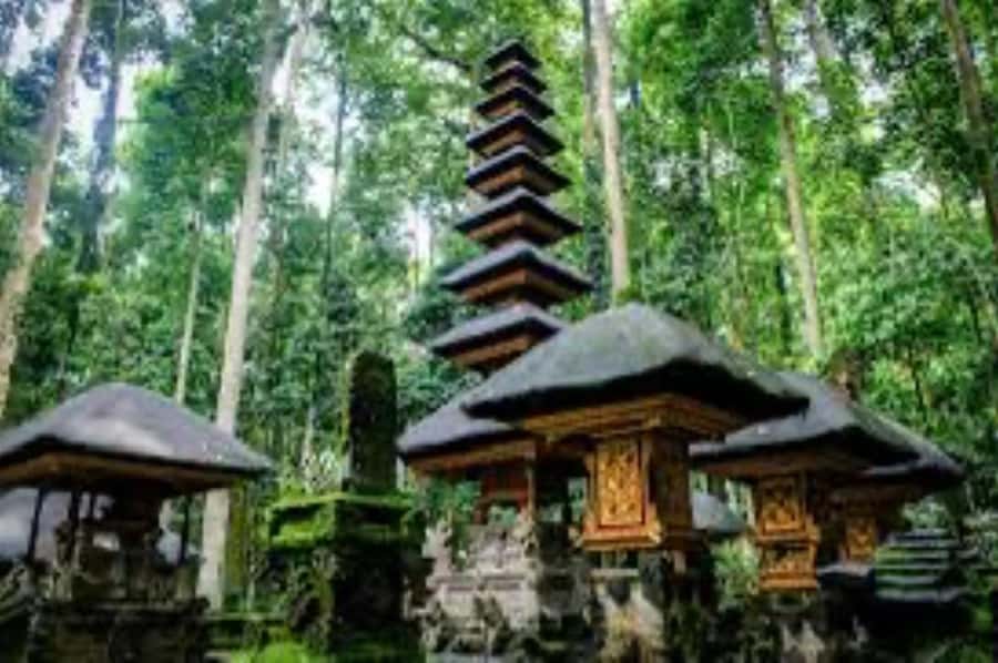 From north bali :Tanah Lot, sangeh forest & Ulun Danu Temple - Ulun Danu Beratan beside the mountain lake