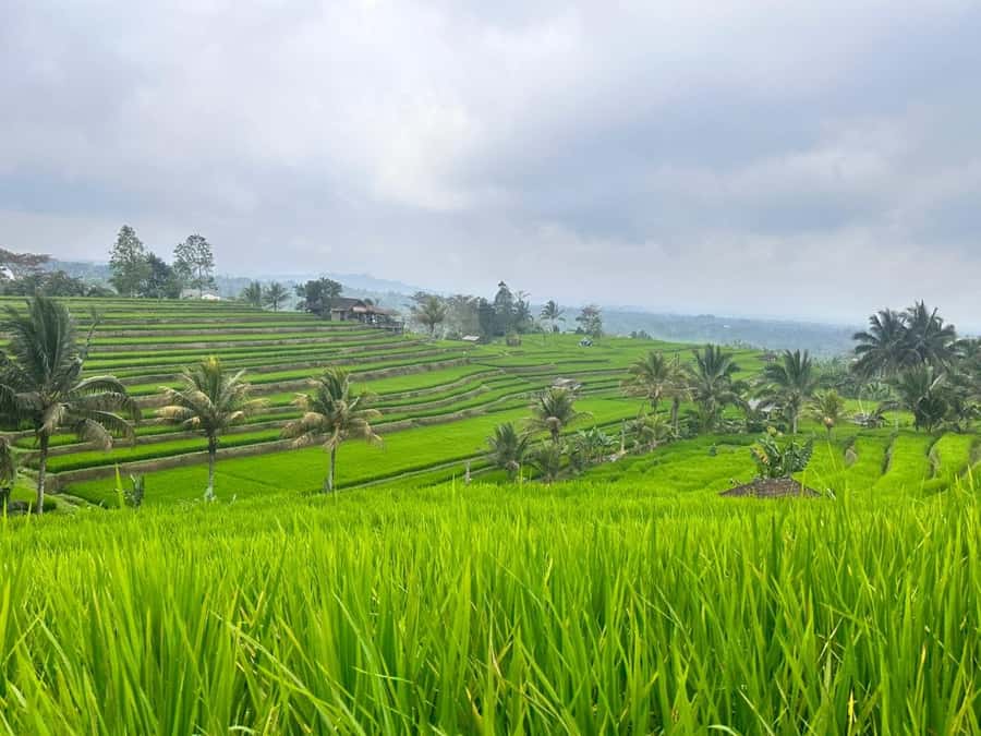 From north bali :Tanah Lot, sangeh forest & Ulun Danu Temple - Handara Gate and the reality behind the famous photo