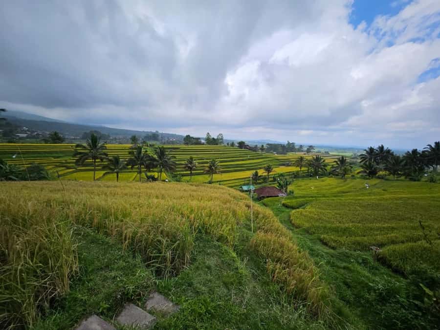 From north bali :Tanah Lot, sangeh forest & Ulun Danu Temple - The long drive and how to make it better