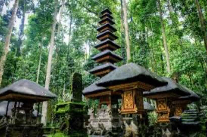 From north bali :Tanah Lot, sangeh forest & Ulun Danu Temple - Who should book this private Bali tour
