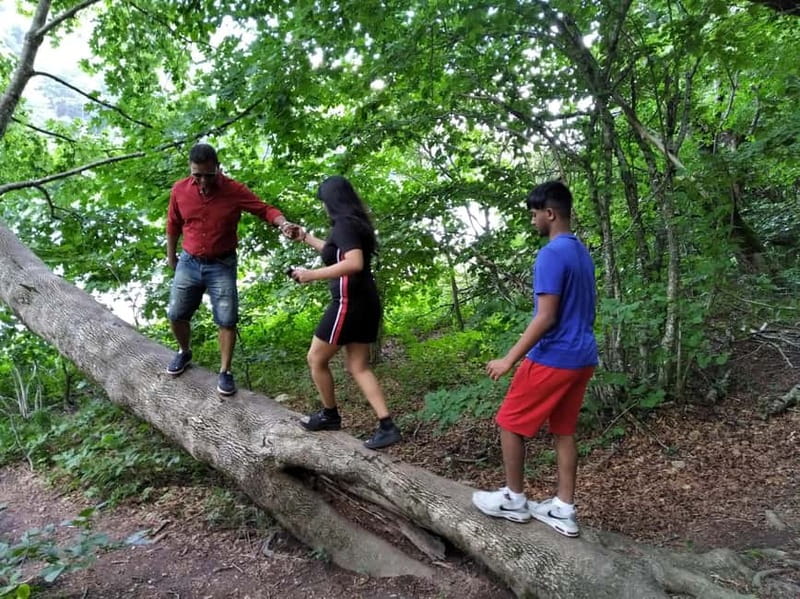 From Podgorica: Biogradska Gora NP & Moraca monastery&Canyon - What guide Nino adds to the day