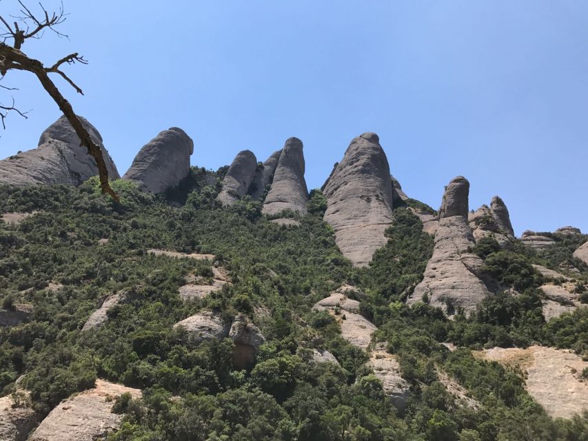 From Salou: Montserrat Monastery and Colonia Güell - Why combine Colonia Güell with Montserrat?