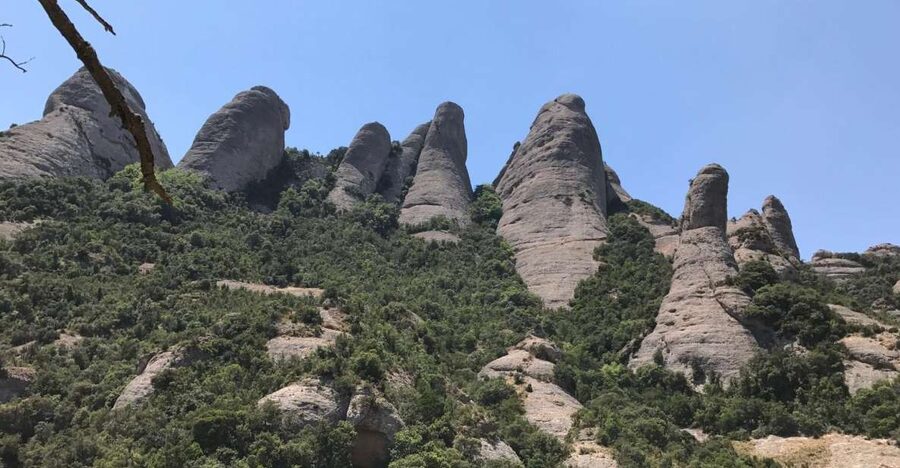 From Salou: Montserrat Monastery and Colonia Güell - What the $69 price really covers