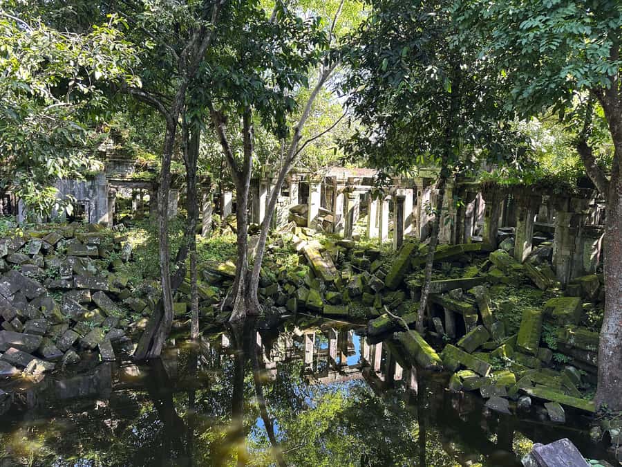 From Siem Reap: Half-Day Tour to Beng Mealea Temple - Entering a temple partly swallowed by jungle