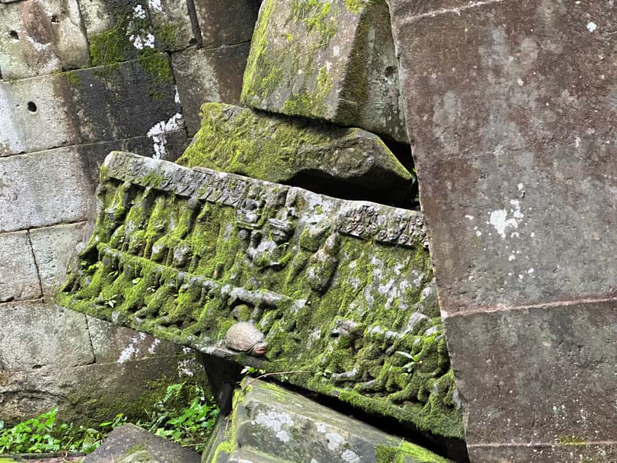 From Siem Reap: Half-Day Tour to Beng Mealea Temple - What the guide adds