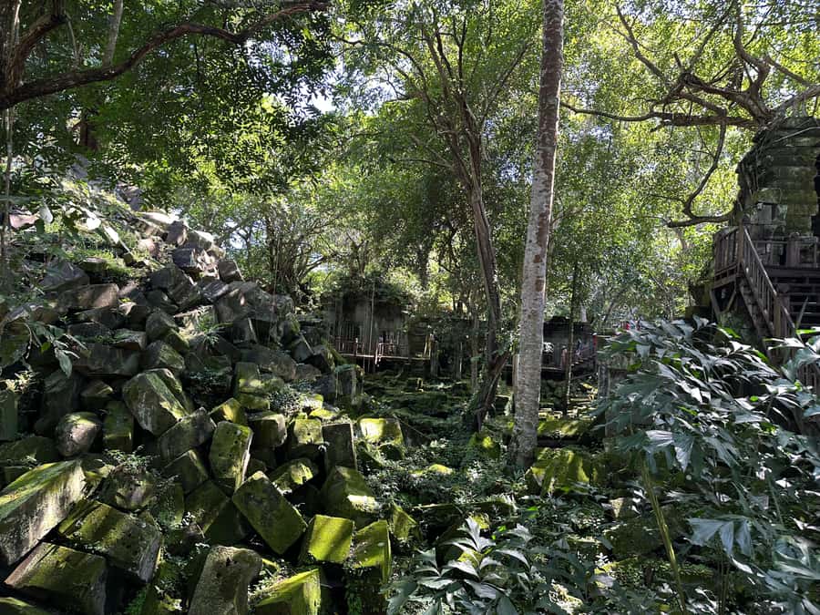From Siem Reap: Half-Day Tour to Beng Mealea Temple - Is $130 per person good value?