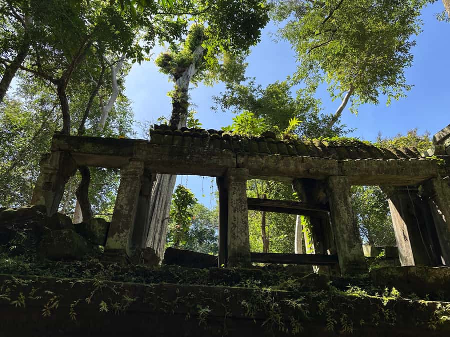 From Siem Reap: Half-Day Tour to Beng Mealea Temple - Morning or afternoon departure