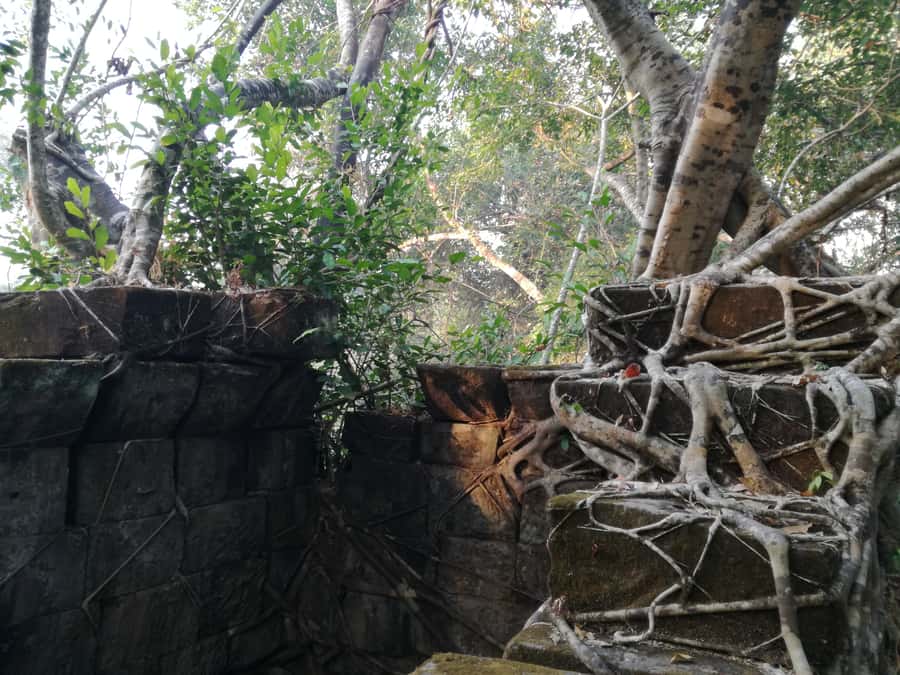 From Siem Reap: Half-Day Tour to Beng Mealea Temple - Who should book this half-day trip?