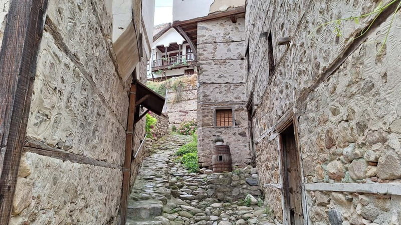 From Sofia: Rila Monastery & Melnik Day Tour - What the long day feels like in practice