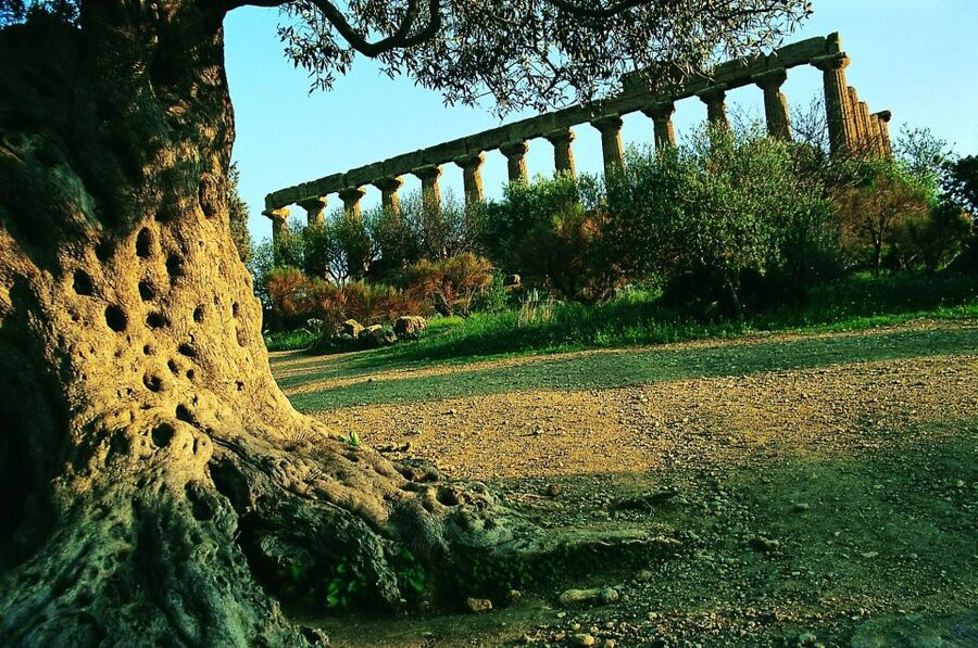 From Taormina: Valley of The Temples & Piazza Armerina Tour - The Roman Villa del Casale and its remarkable floors