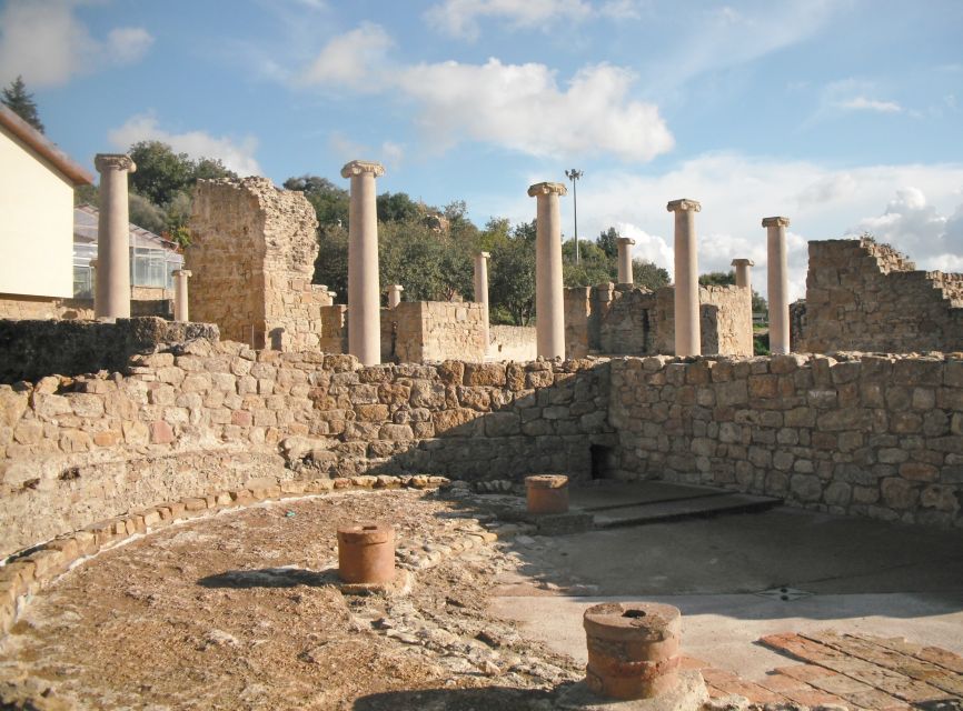 From Taormina: Valley of The Temples & Piazza Armerina Tour - Who should take this excursion?