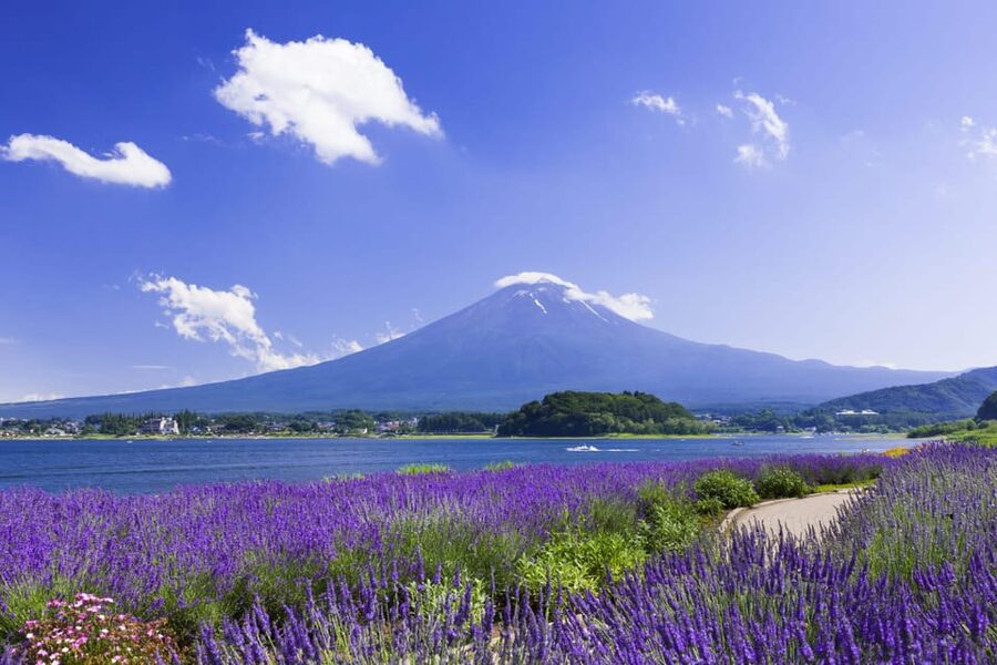 From Tokyo: Fuji Mountain Area - FujiQ - Lake Kawaguchiko - Chureito Pagoda - Why a private Fuji day can make sense from Tokyo
