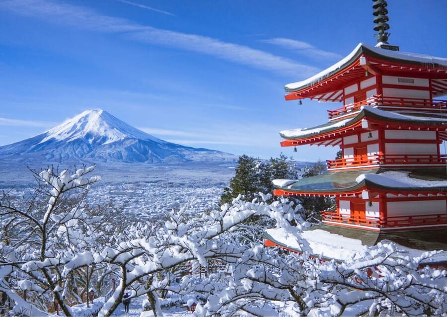 From Tokyo: Fuji Mountain Area - FujiQ - Lake Kawaguchiko - Chureito Pagoda - Oshino Hakkai and the clear spring ponds