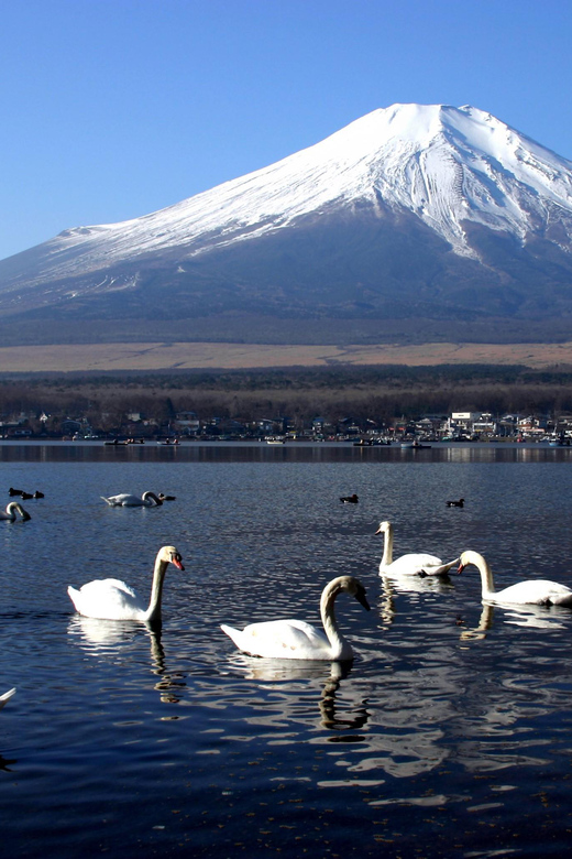 From Tokyo: Fuji Mountain Area - FujiQ - Lake Kawaguchiko - Chureito Pagoda - Fujiyoshida and the approach to Chureito Pagoda