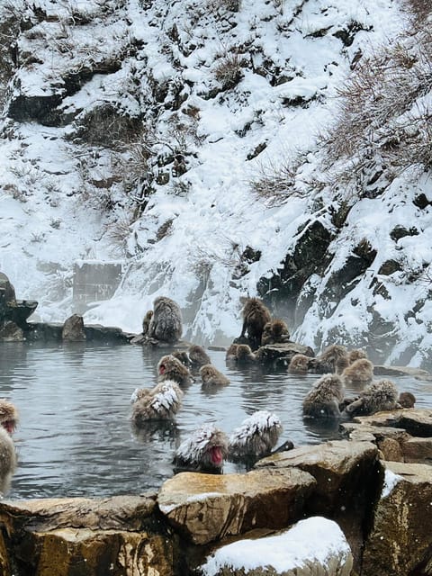 From Tokyo: Nagano Snow Monkey Park Zenkoji Temple Day Trip - Obuse brings food, art, and a slower hour