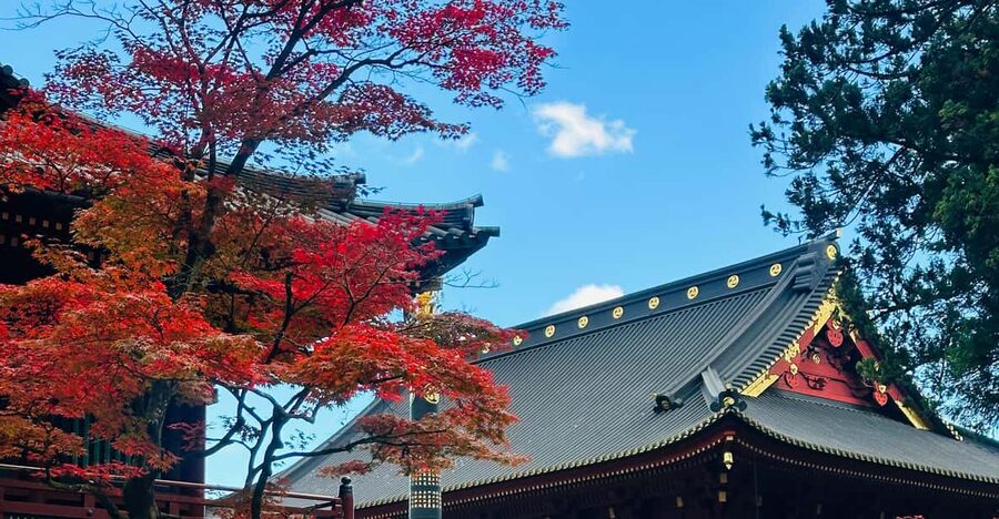From Tokyo: Nikko Customize private Tour With English Driver - Why Nikko Works as a Tokyo Day Trip